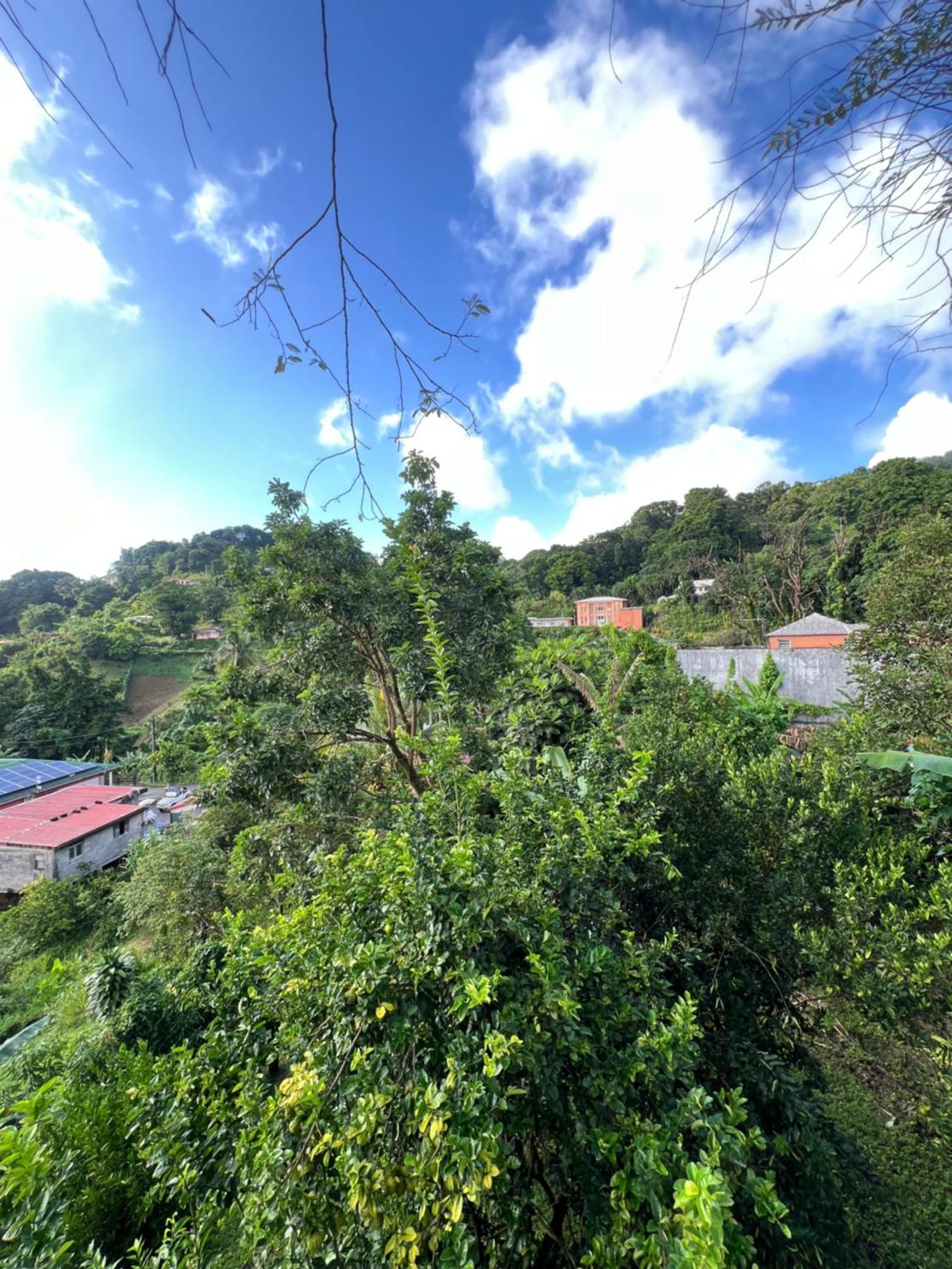 Le Ketmie Nature Et Decouverte Fond-Saint-Denis Esterno foto