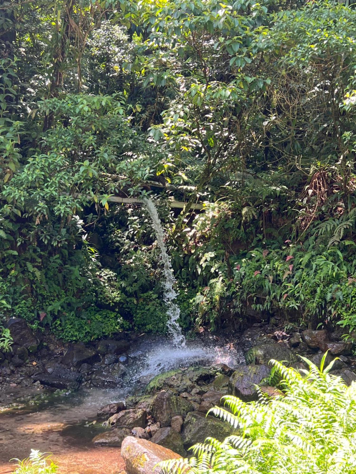 Le Ketmie Nature Et Decouverte Fond-Saint-Denis Esterno foto