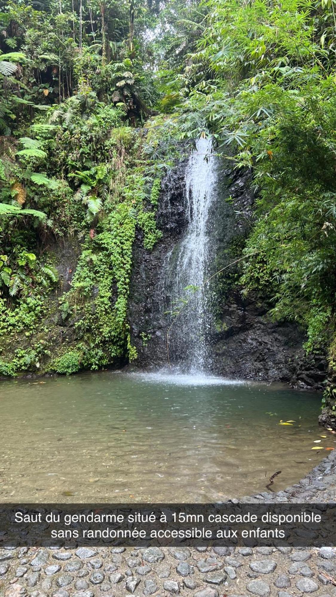 Le Ketmie Nature Et Decouverte Fond-Saint-Denis Esterno foto