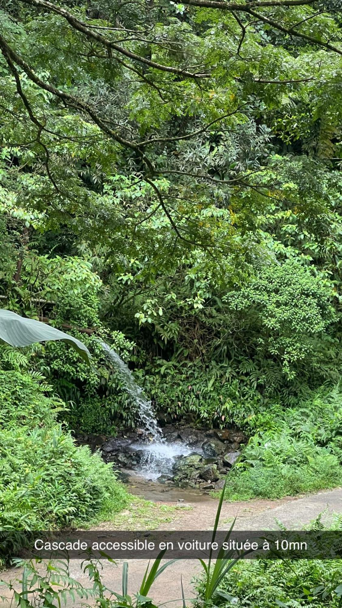 Le Ketmie Nature Et Decouverte Fond-Saint-Denis Esterno foto