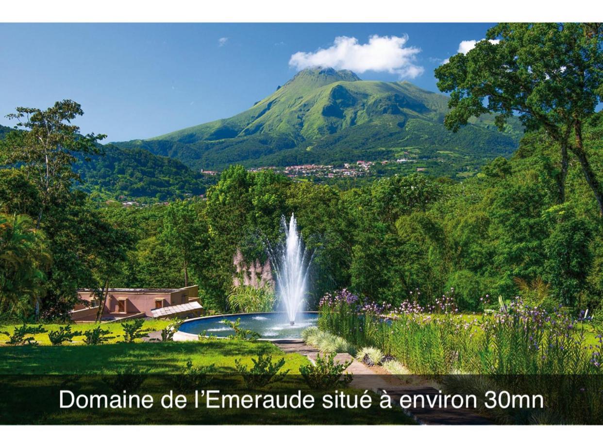 Le Ketmie Nature Et Decouverte Fond-Saint-Denis Esterno foto